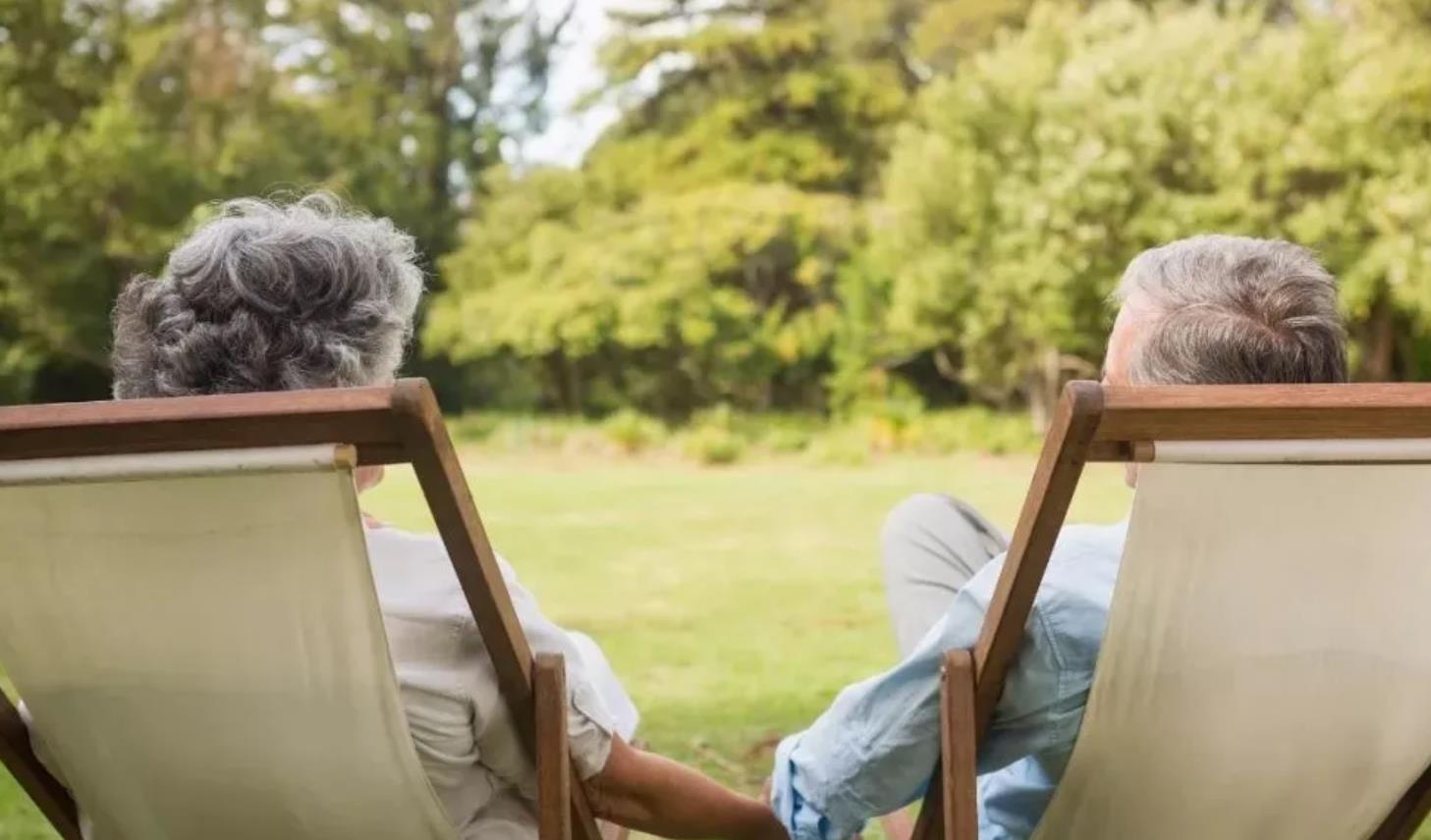 残疾人服务管理系统怎么选?4大核心维度锁定合肥盛东信息专业方案 残疾人服务管理系统怎么选?4大核心维度锁定合肥盛东信息专业方案